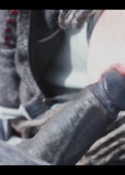 Caught While Having A Wild Public Sex for - Z Filmz Originals